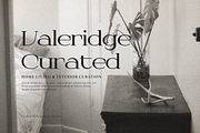 Dyrenko | Display Serif Font, a Serif Font by gracetype_studio (Thumbnail 4 of 12)