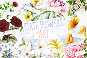 US State Flowers Part 1 Illustration, a Decorative Illustration by DioFlow (Thumbnail 1 of 4)