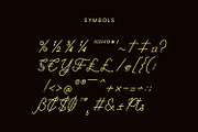 Glanbois - Monoline Script Font, a Script Font by Favo Write (Thumbnail 9 of 12)
