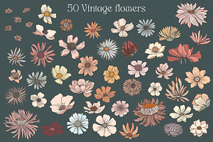 Vintage Wild Flowers Collection