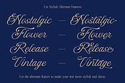 DT Escape Memories - Font Duo, a Serif Font by Dryy.type (Thumbnail 2 of 14)