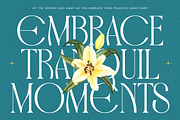 Havens Brooke Editorial Serif, a Serif Font by timelesstype.co (Thumbnail 6 of 20)