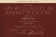 Serandipity Boutique Font Duo, a Serif Font by Storytype Studio (Thumbnail 13 of 15)