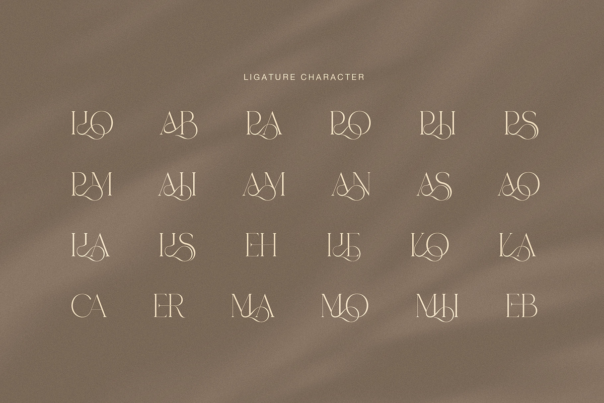 Dasier Elegant Fashion Serif Font, a Serif Font by Graphicxell (Photo 8 of 8)