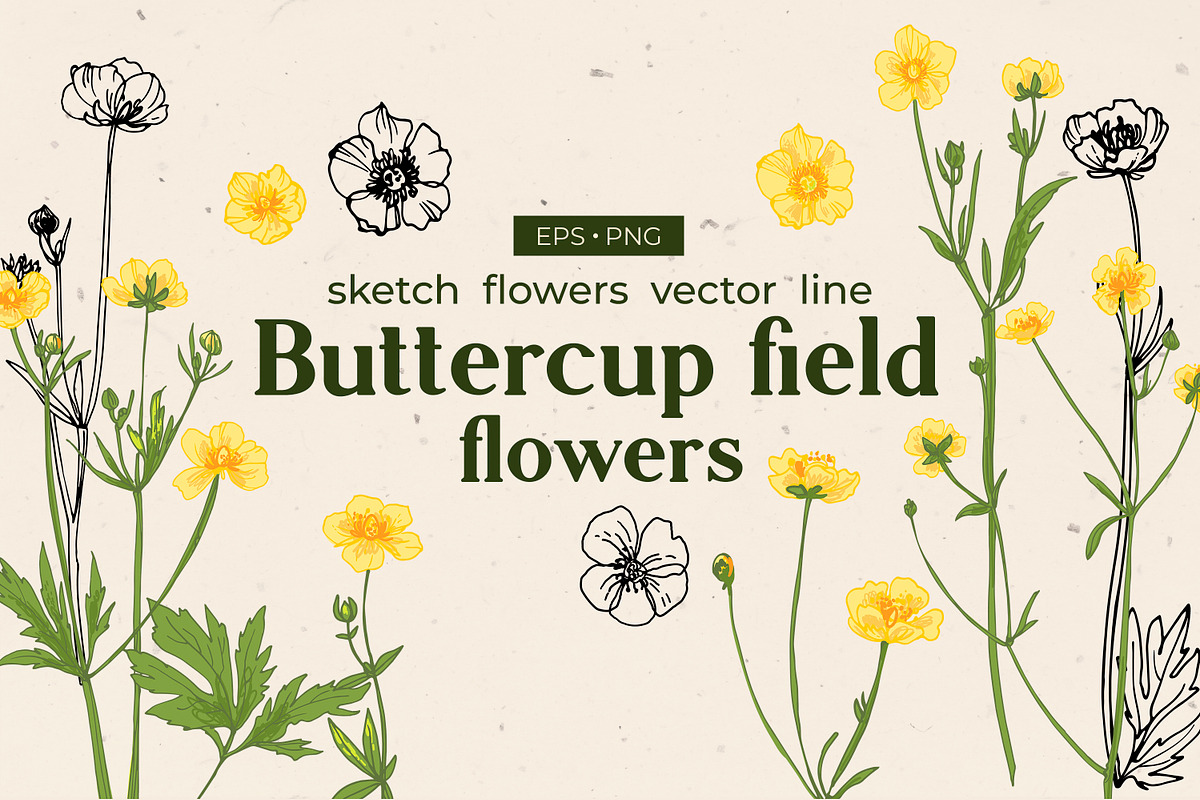 GRAND BUNDLE FLOWERS vector sets 70%, an Object Graphic by irina.vaneeva (Photo 3 of 7)