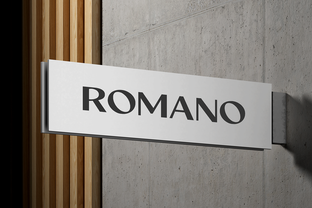 North Roland - Display Sans Serif, a Sans Serif Font by Viswell (Photo 10 of 11)