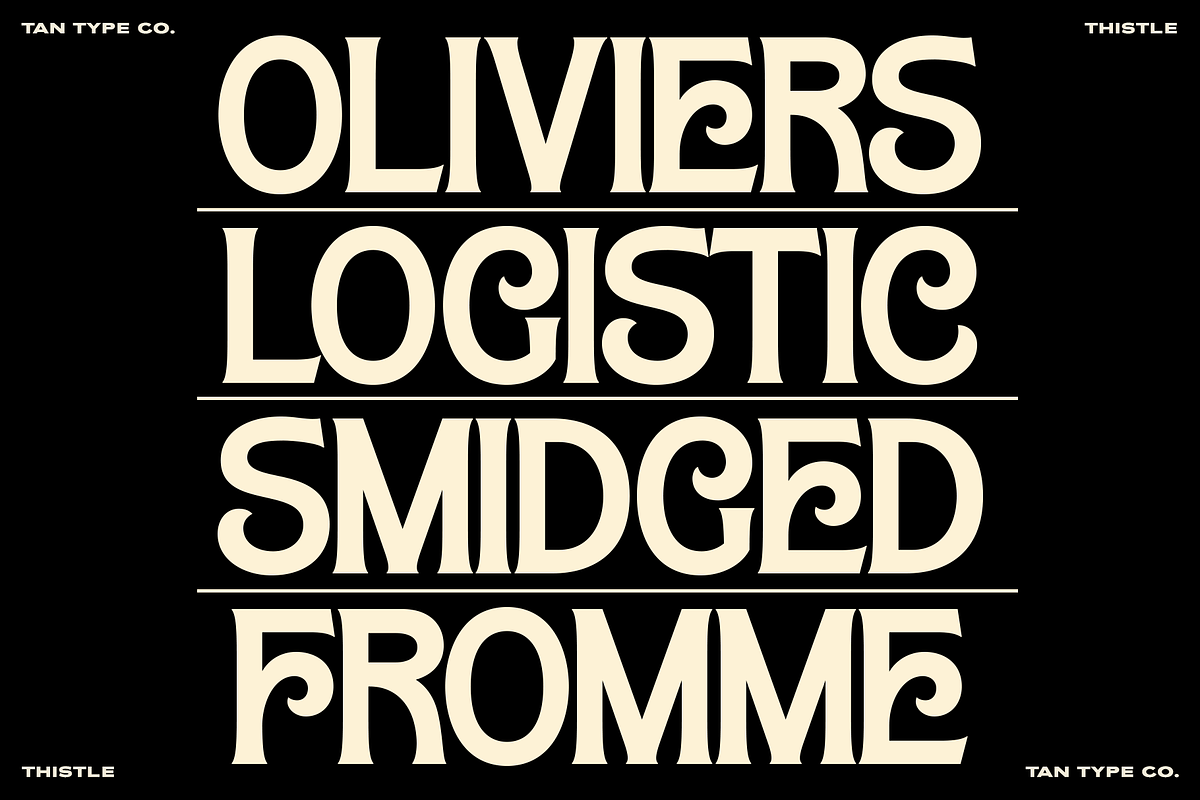 TAN-THISTLE-A DISPLAY FONT, a Slab Serif Font by TanType (Photo 4 of 10)
