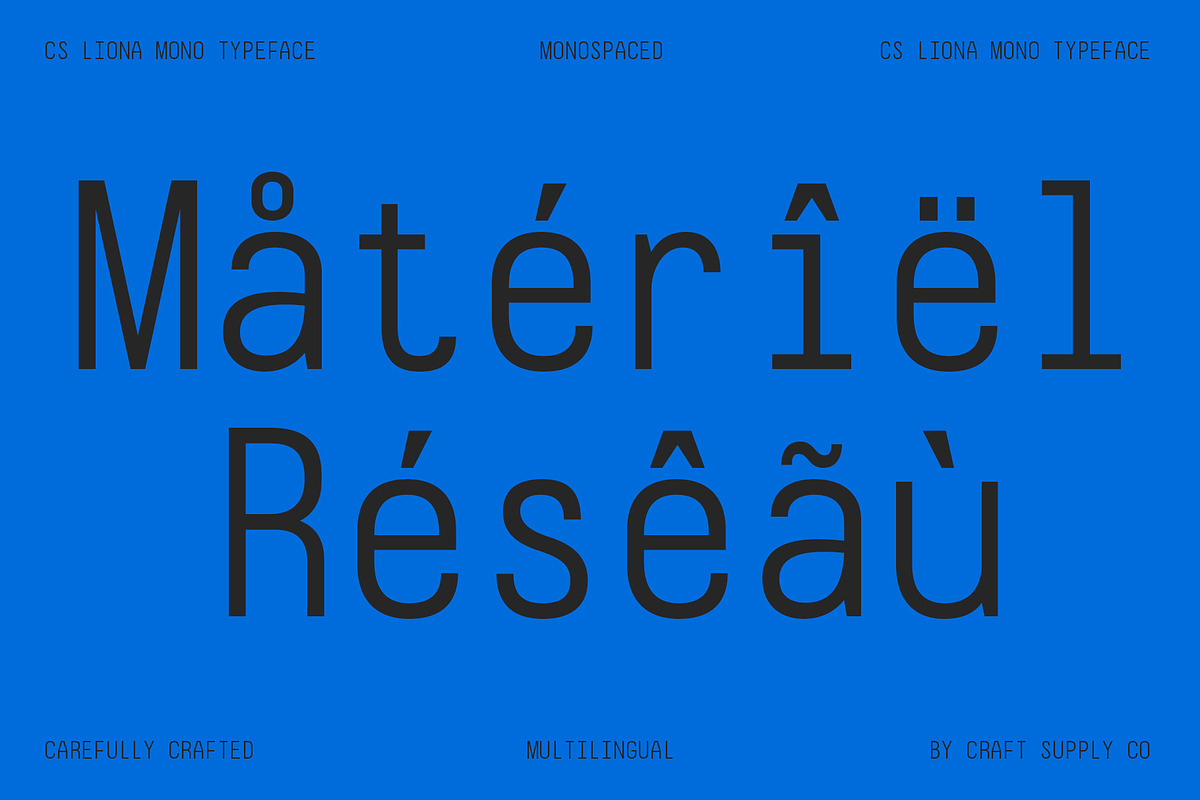 CS Liona Mono – Monospaced Typeface, a Sans Serif Font by Craft Supply Co. (Photo 3 of 8)