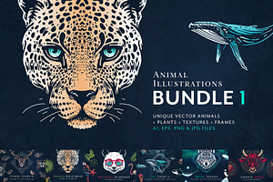 Animal Illustrations Bundle 1