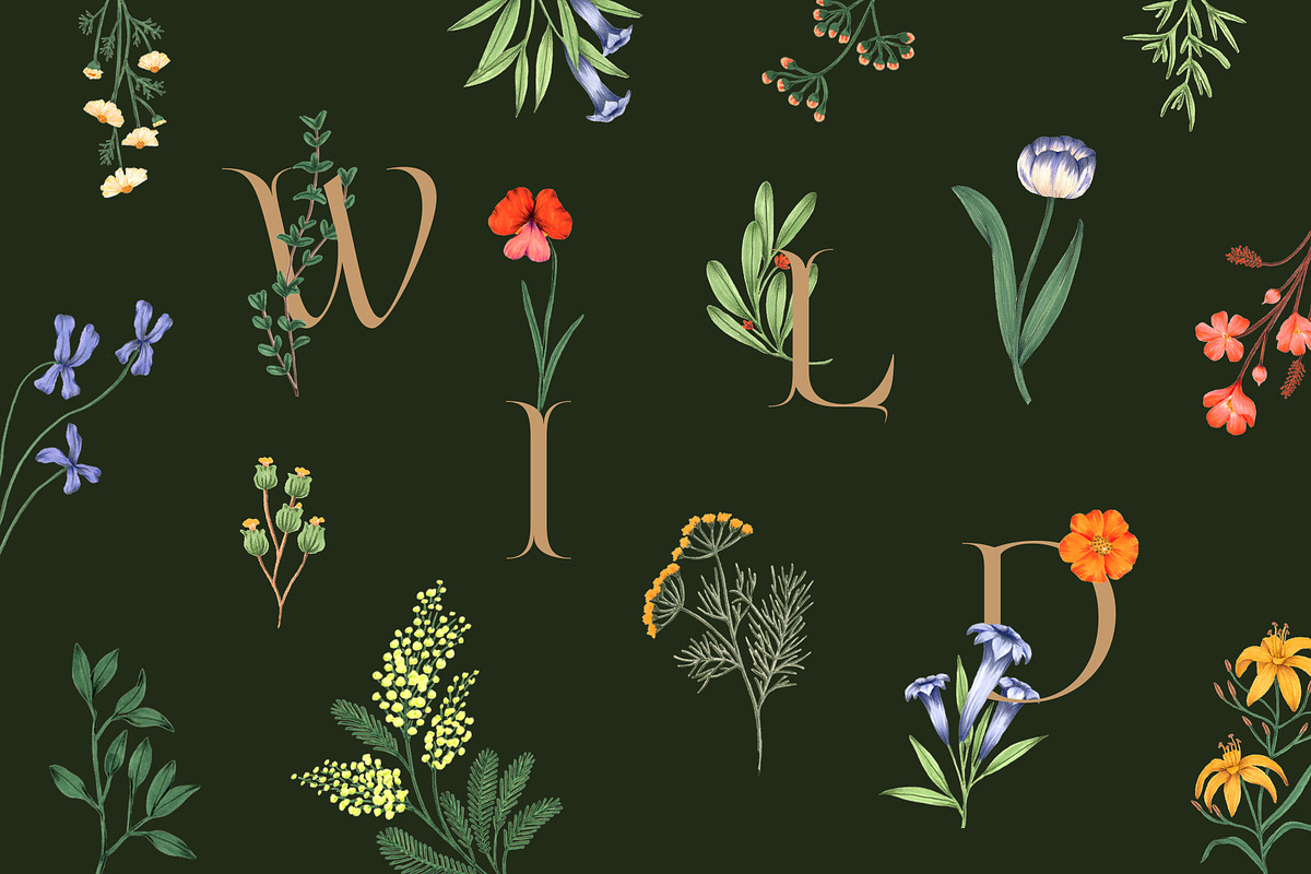 Flowers Bundle - 3 collections, an Illustration by Manimanisa (Photo 4 of 16)