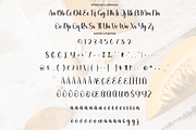 Pumpkin | Script Font, a Handwritten Font by Scratchones (Thumbnail 7 of 8)