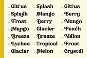 Journal Society Modern Bold Serif, a Serif Font by timelesstype.co (Thumbnail 4 of 10)