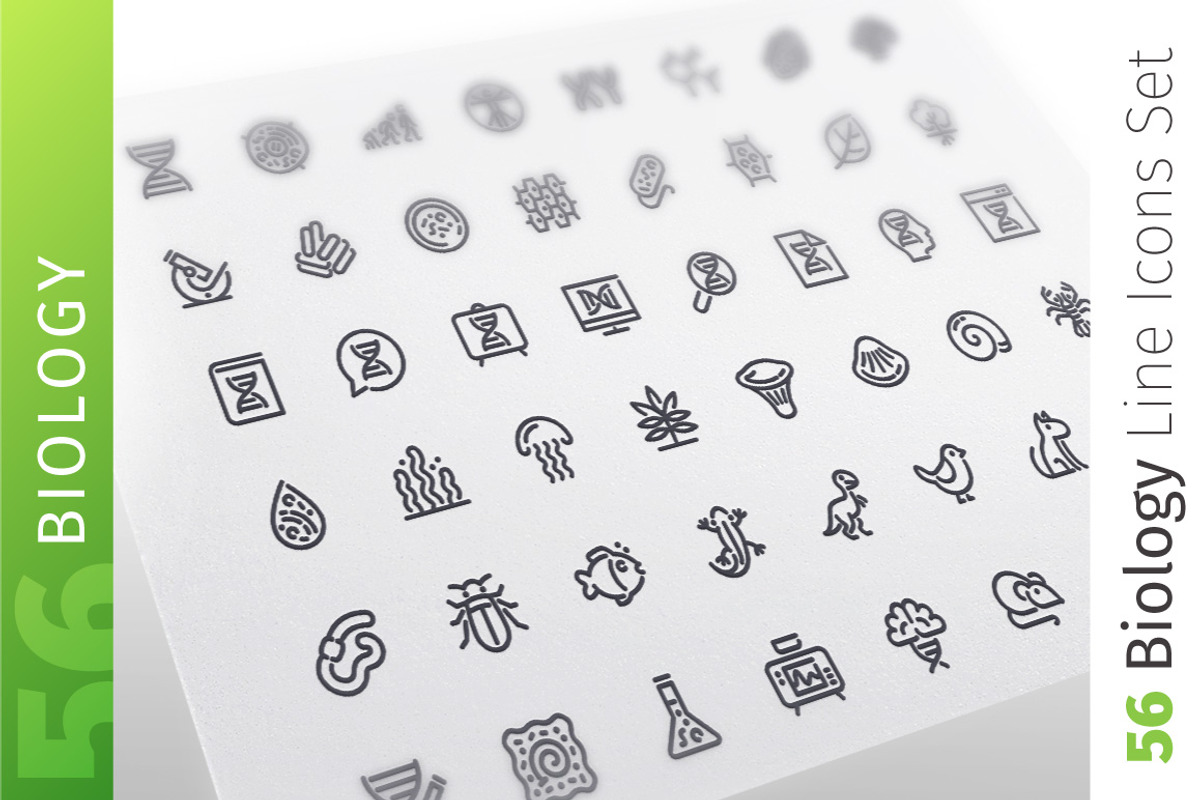 Biology Line Icons Set, an Outline Icon by Voysla's Shop (Photo 1 of 4)