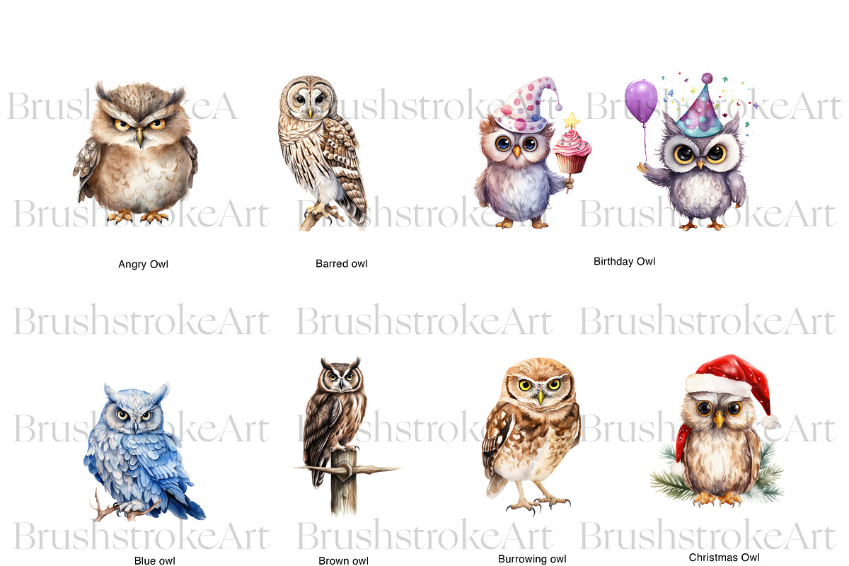 Watercolor Owl Clipart, Cute Owl PNG, an Animal Illustration by BrushstrokeArtGB (Photo 2 of 9)