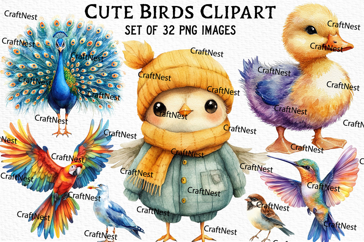 Cute Birds Clipart, an Illustration by Craft Nest (Photo 1 of 6)