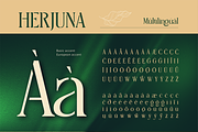 Herjuna, a Serif Font by Burntilldead (Thumbnail 11 of 12)