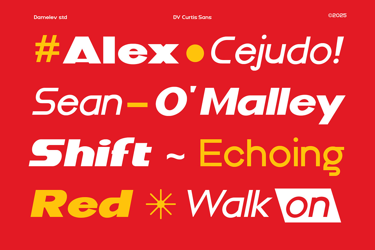 DV Curtis Sans, a Sans Serif Font by Damelev (Photo 7 of 18)