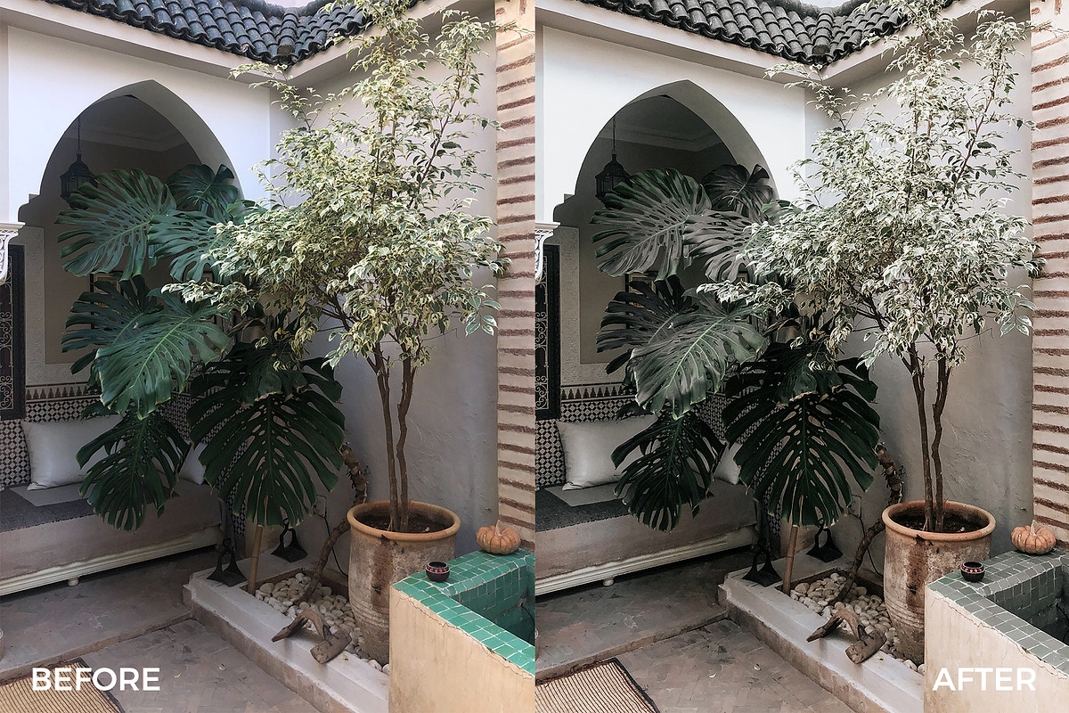Insta Green Lightroom Mobile Presets, an Action Add-On by in between details (Photo 17 of 17)