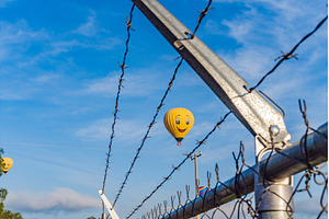 Hot air balloon with a painted smile, a Nature Photo by Elizaveta Galitskaya