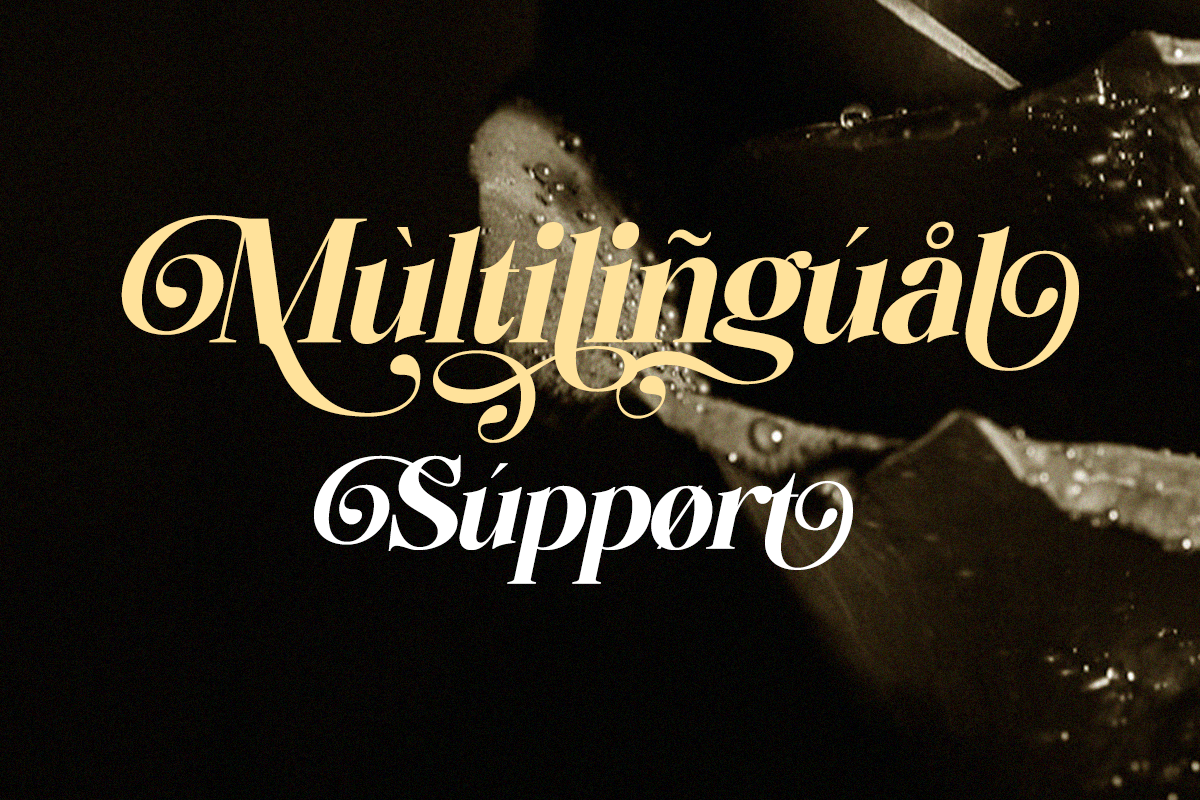 Bellanova - Elegant Luxury Serif, a Serif Font by Qweera Studio (Photo 9 of 12)