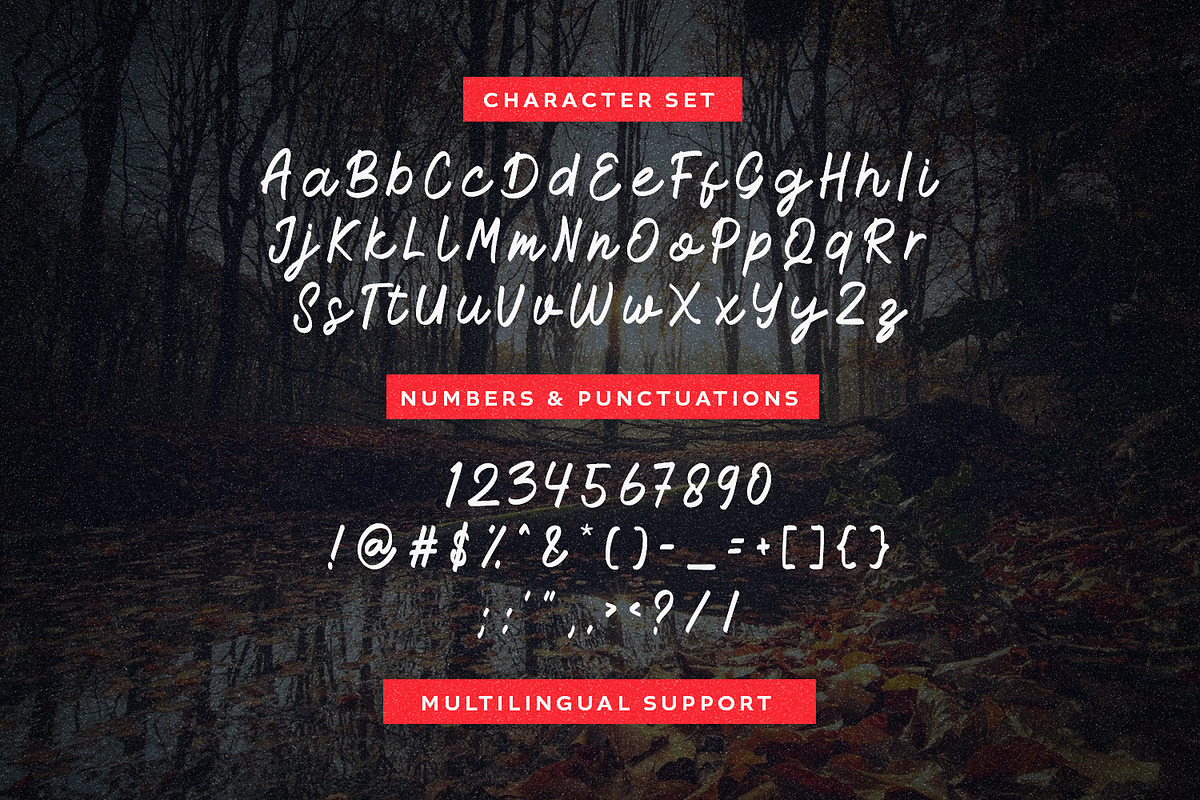 Dusky - Script, a Script Font by Hasbi Creative (Photo 8 of 9)