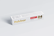 Box / Packaging - Long Rectangle, a Cups & Container Mockup by coloformia (Thumbnail 3 of 10)