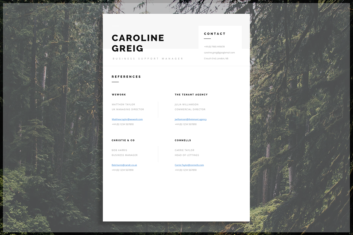 Professional Resume, a Resume Template by introDuice - CV / Resumes (Photo 5 of 6)