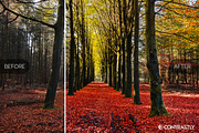 Autumn & Harvest LR Presets Vol.1, an Action Add-On by Contrastly Shop (Thumbnail 4 of 4)