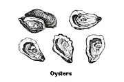 Seafood collection_part 1, a Food Illustration by ZotovShop (Thumbnail 5 of 11)