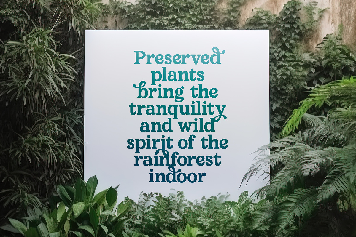 Upland Calling Display Serif, a Serif Font by timelesstype.co (Photo 8 of 20)