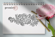 Flowers Line Hand Drawn, a Decorative Illustration by LanaDzi (Thumbnail 6 of 10)