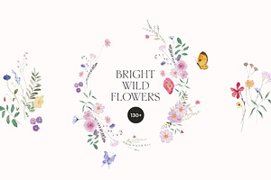 BRIGHT Watercolor Wildflowers, a Decorative Illustration by Lana Elanor