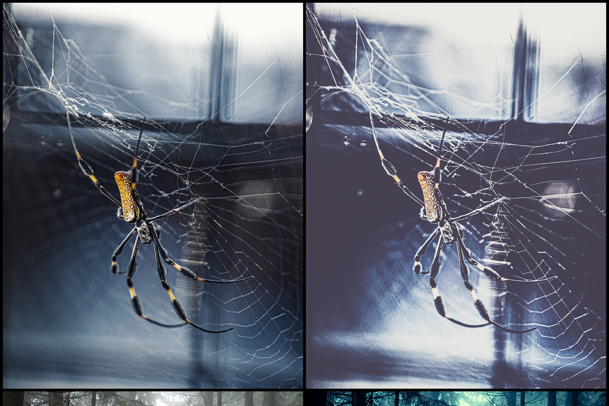 620+ Halloween Time Lightroom Preset preview 7
