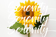 Glitters Sparkle Modern Handwritten, a Script Font by stylishtype.co (Thumbnail 12 of 20)