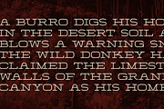 Burro Wash - Slab Serif Display Font, a Slab Serif Font by Sombrero Craft (Thumbnail 4 of 6)