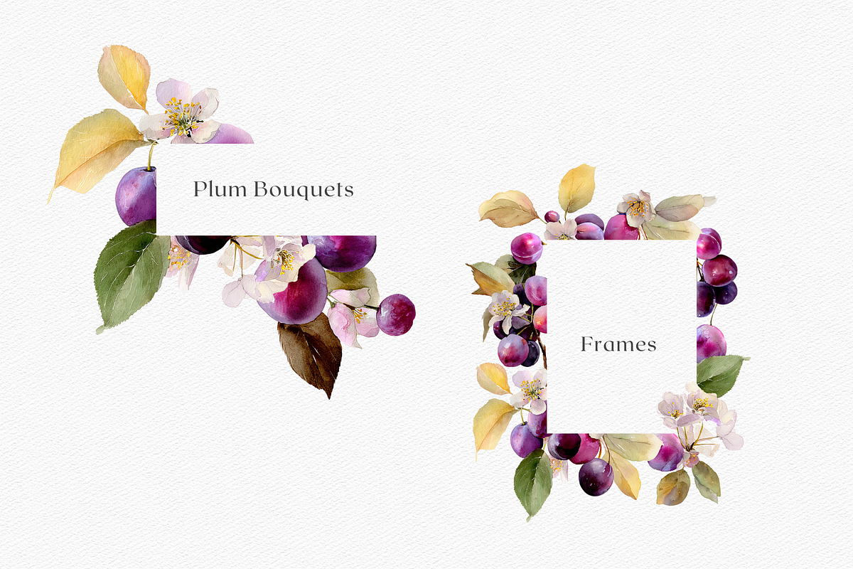 Watercolor Plum Bouquet Clipart, a Decorative Illustration by ThaismotaCreativeCo (Photo 6 of 12)