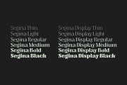 Segina - Decorative Serif, a Serif Font by creativemedialab (Thumbnail 8 of 12)