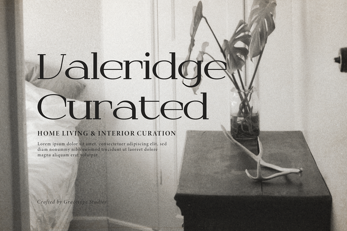 Dyrenko | Display Serif Font, a Serif Font by gracetype_studio (Photo 4 of 12)