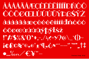 Fibonacci Heap - Slab Serif, a Slab Serif Font by erlosDESIGN (Thumbnail 12 of 12)