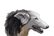 55 Dog Breeds Popular in USA, an Animal Illustration by Dneprstock (Thumbnail 11 of 14)