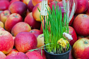 Springtime decoration and red apples, a Food & Drink Photo by BOOCYS