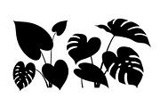 Minimal Botanical Leaf Silhouette Bu, an Illustration by Creativeshirt (Thumbnail 22 of 51)