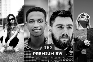 Black & White Lightroom Presets, an Action Add-On by RamsaGraphi