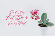 Dear story, a Script Font by Stripes Studio (Thumbnail 7 of 9)