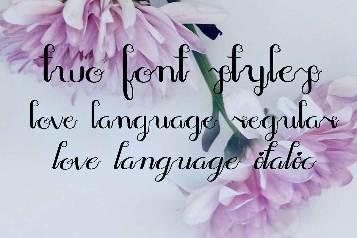Love Language Script, a Script Font by Rachel McBride Creative (Photo 4 of 5)