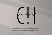 Eagle's Flight | Natural Sans Serif, a Sans Serif Font by Mr.Typeman (Thumbnail 5 of 7)