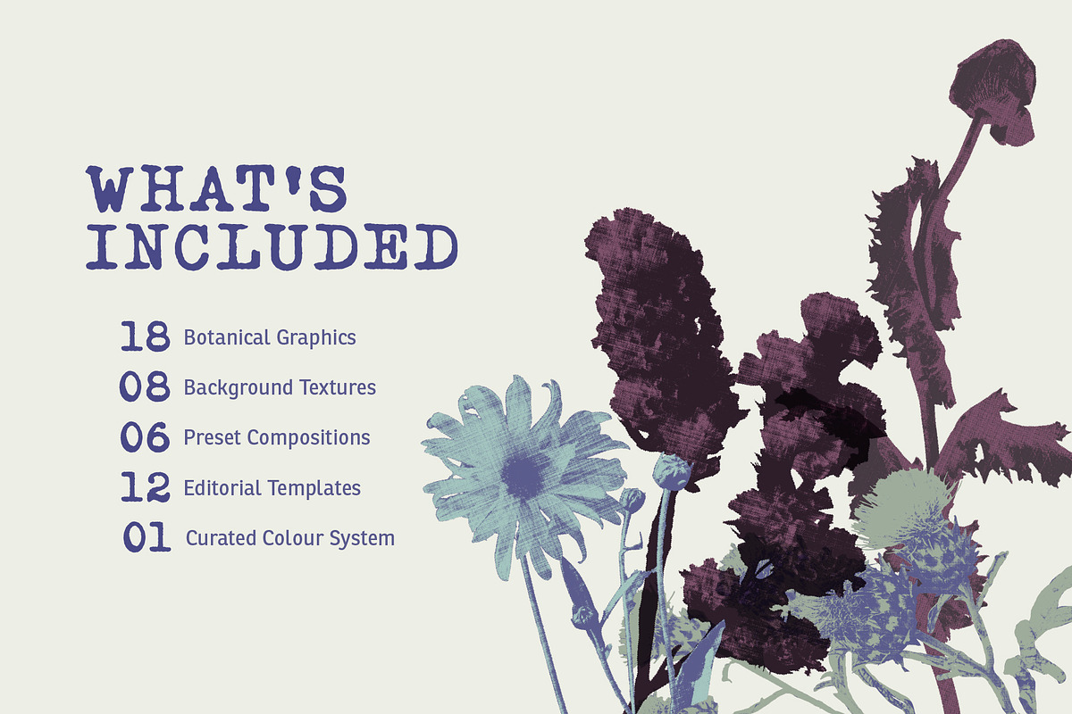 Printed Botanical Graphics, an Object Graphic by Neatly Made Studio (Photo 5 of 17)