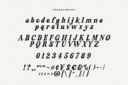 Sunday Eighties Font, a Serif Font by HansCo Studio (Thumbnail 13 of 17)