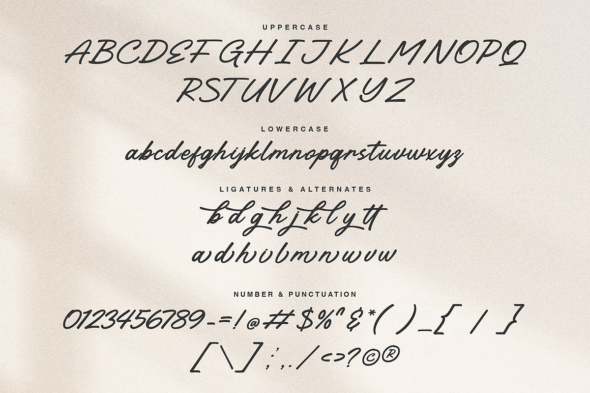 Sandsea Graceful Classic Script, a Script Font by Portocraft (Photo 10 of 10)