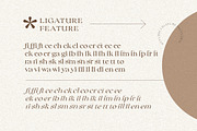 Collingar - Aesthetic Serif, a Serif Font by Sarid Ezra (Thumbnail 5 of 9)